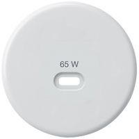 Frontscheibe Hager basico, zu USB-Ladesteckdose Typ C, weiss