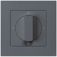 Interrupteur rotatif ENC kallysto.pro 0/1L anthracite avec manette