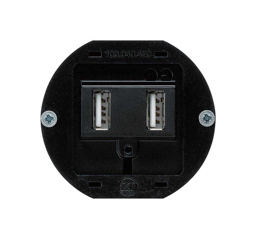 Einsatz zu USB-Ladesteckdose Hager Bauart E 240V 2400mA Typ A