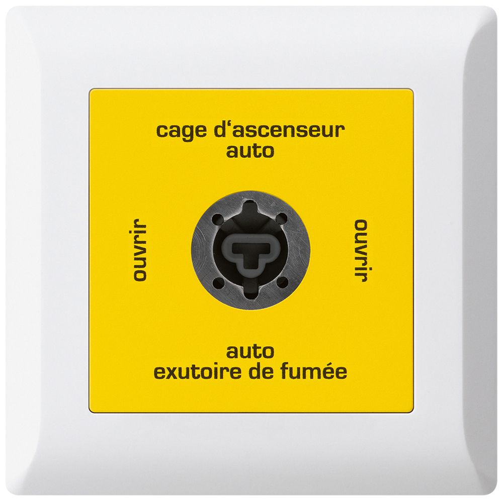 Interrupteur à clé ENC kallysto.line pour exutoire fumée français blanc