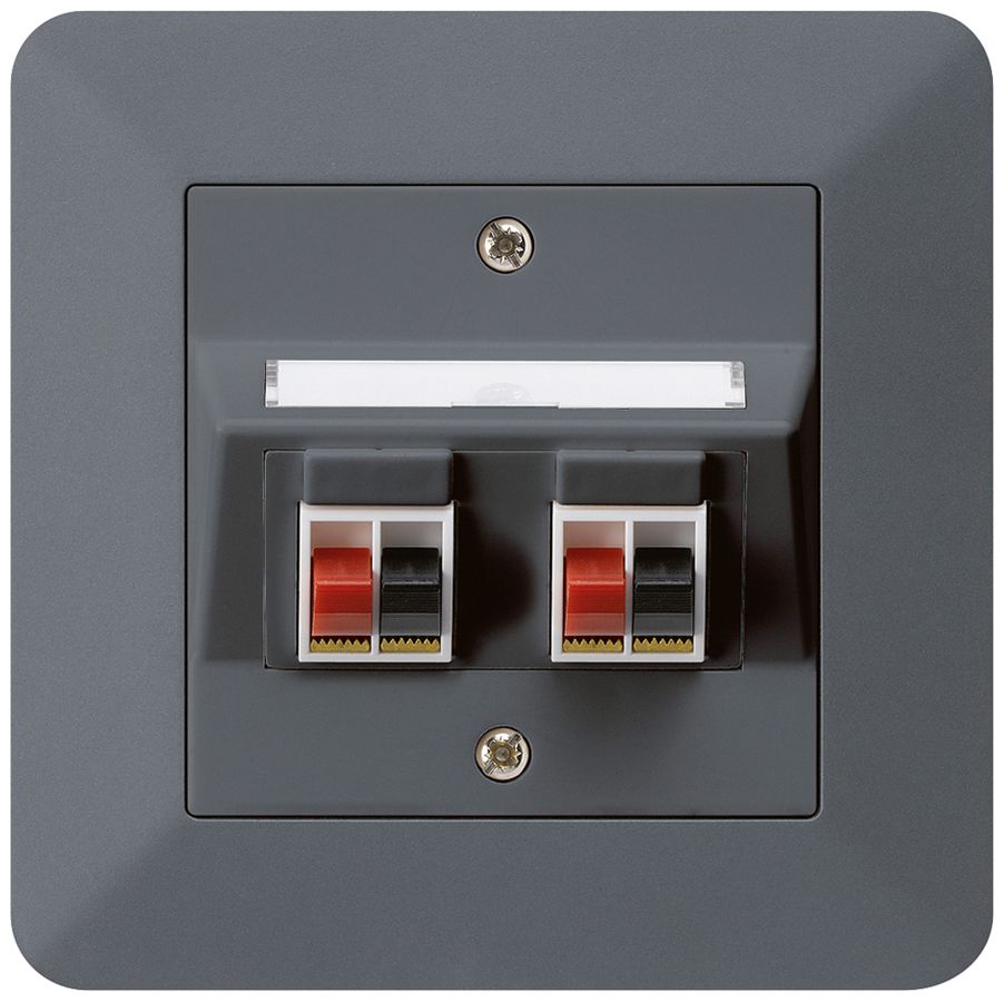 Prise ENC audio kallysto.trend 2× anthracite borne à étrier pour 2 haut-parleurs