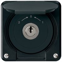 UP-Schlüsselschwenktaster robusto IP55 schwarz mit Deckel Wechsler