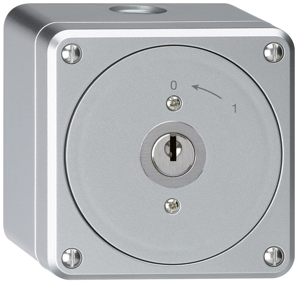 AP-Schlüsselschwenktaster robusto aluminium ohne Deckel 2P