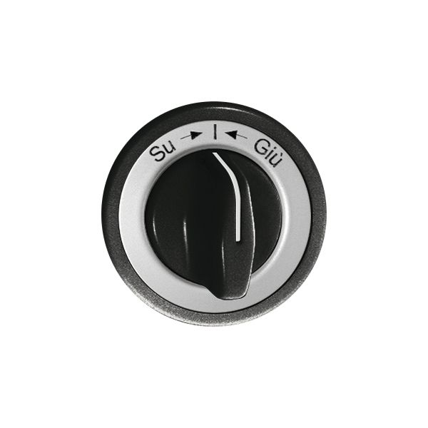 Frontset Su-I-Giu schwarz, für Schwenktaster FH