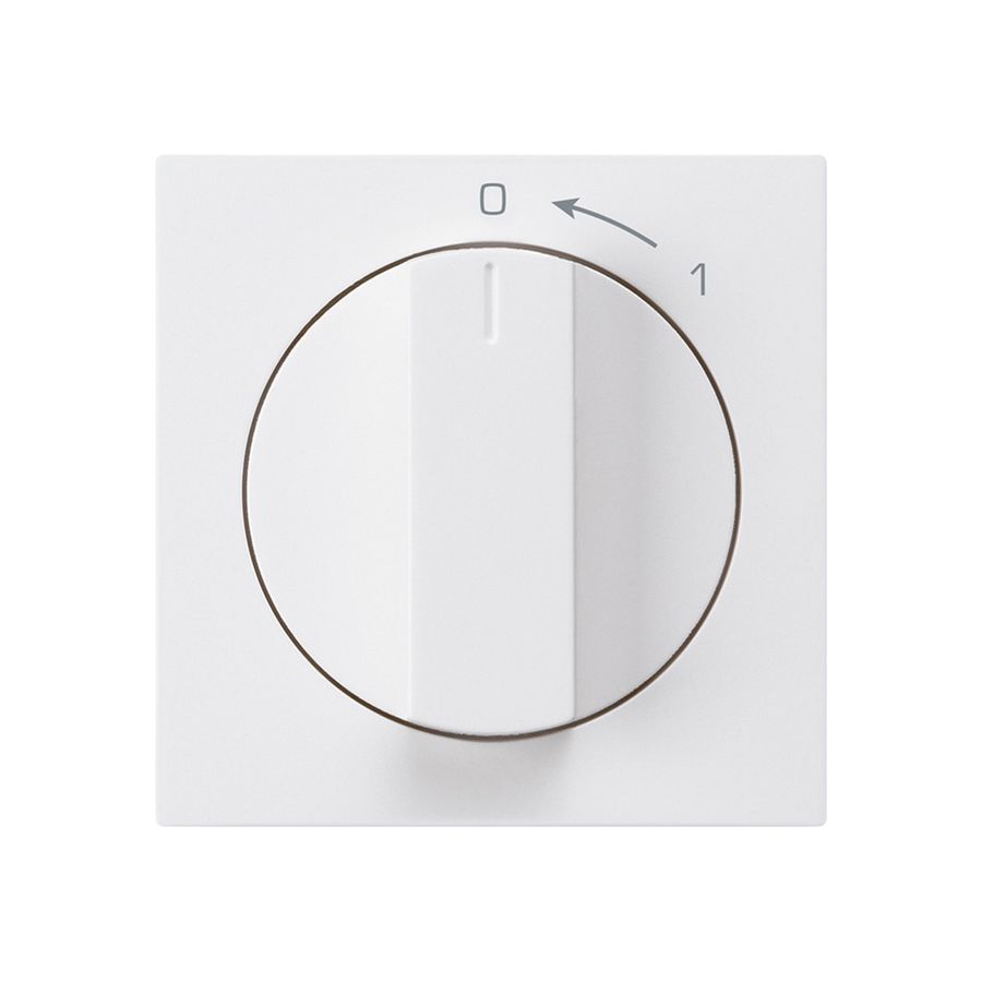 Schwenktaster 0<-1/1L weiss kallysto mit Drehgriff