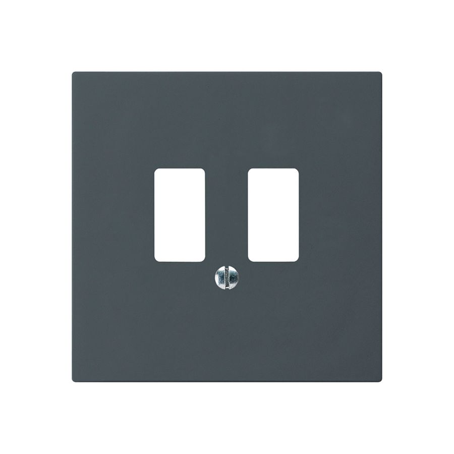 Frontplatte kallysto für USB-Steckdose anthrazit