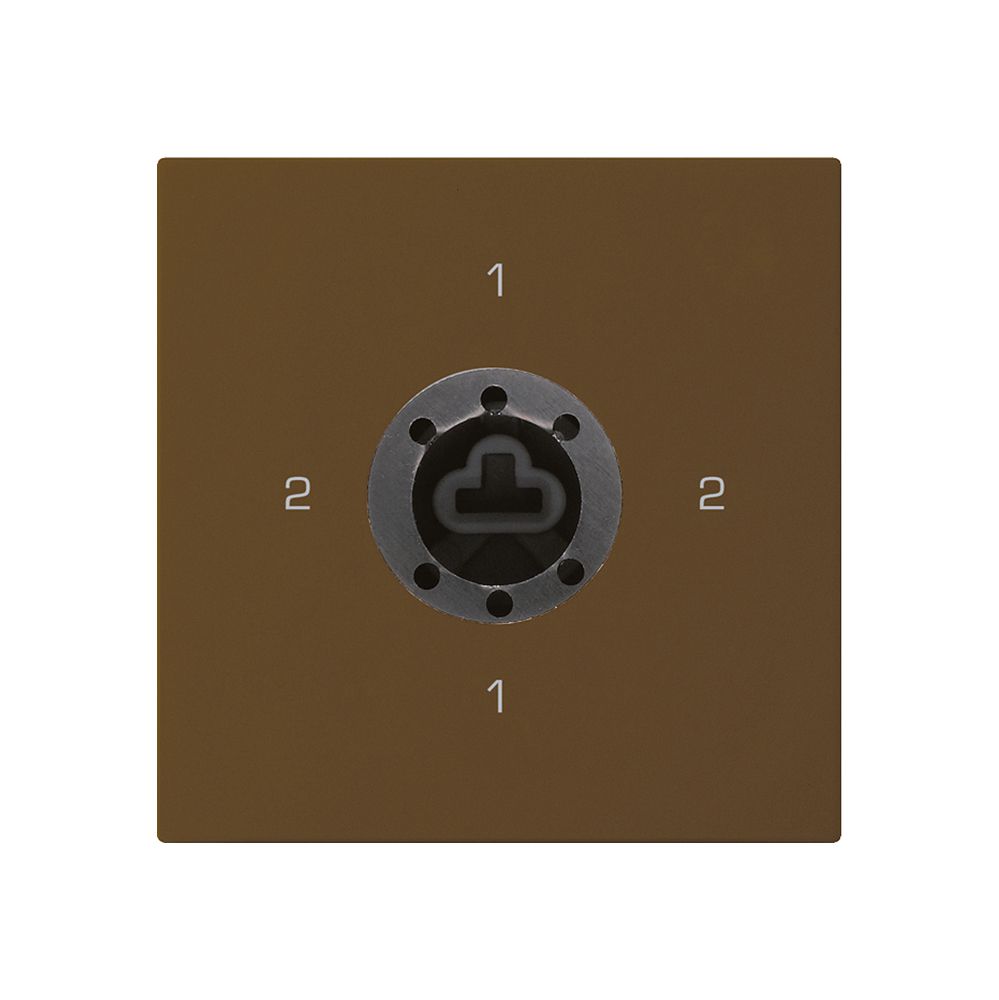 Intérieur interrupteur à clé kallysto 3/1L brun p.serrure de sûreté s.cylindre