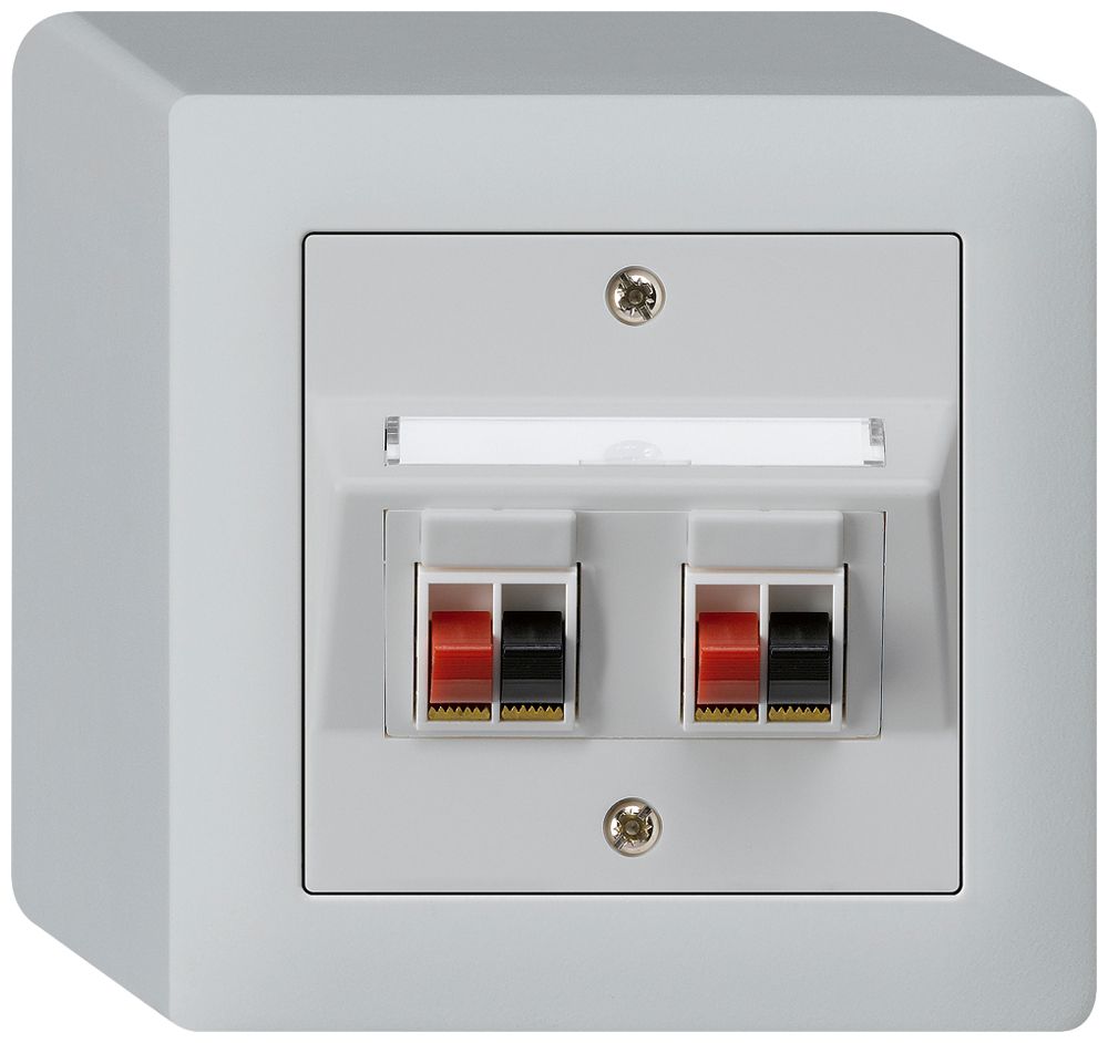 AP-Audiodose kallysto 2×hellgrau Klemmanschluss für 2 LS