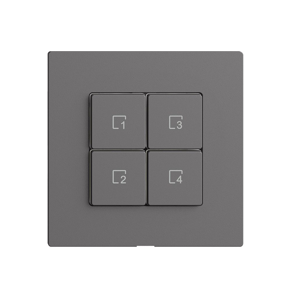 Szenentaster 4 Szenen/4T Edue Wiser dunkelgrau