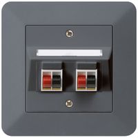 Prise ENC audio kallysto.trend 2× anthracite borne à étrier pour 2 haut-parleurs