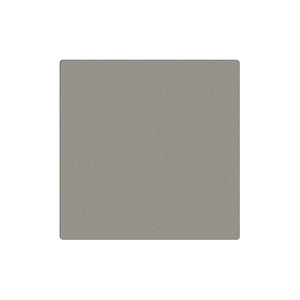 WLAN-Nebenstelle EDIZIOdue F ZEP App station 4k, dunkelgrau