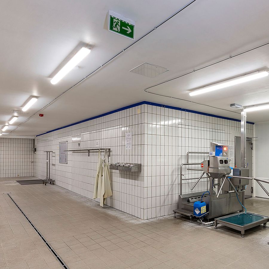 LED-Deckenleuchte DOTLUX MISTRALex 27W 4150lm 4000K IP66 Ex 2 Ex 22 1572×145mm