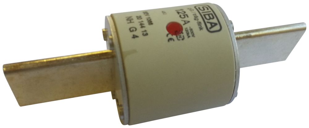 Fusible HPC G4 125A 500V gG