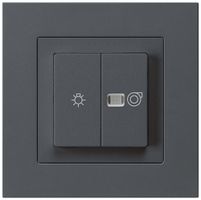 UP-Leuchtdruckschalter kallysto.pro anthrazit 1/1L Symbolen Licht+Ventilation