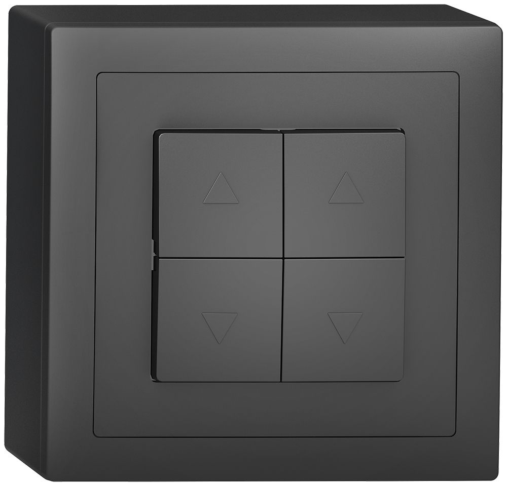 AP-Storentaster Sidus, 2-Kanal, anthrazit