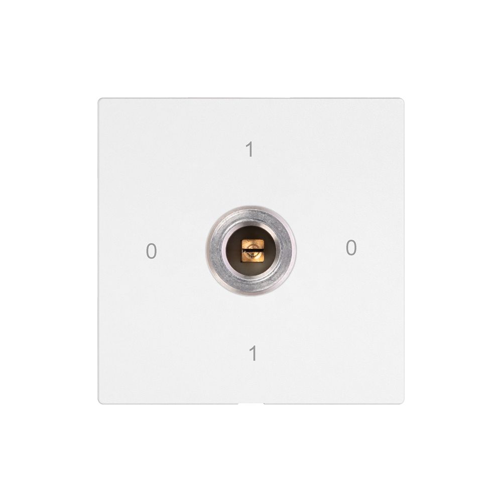 Schlüsselschalter EDIZIO.liv 1P Vierkant/Schlitz 20A 690V 0-1-0-1 ws