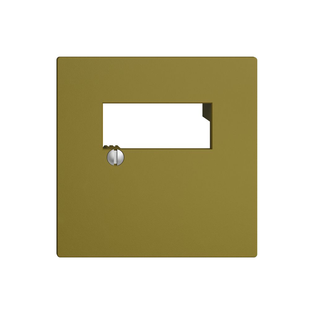 Plaque frontale 2×RJ45 EDIZIOdue olive R&M swissline