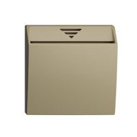 Einsatz zu Schalter Hotelcard 250VAC 1L EDIZIOdue sand