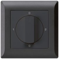 UP-Drehschalter kallysto.line 2/1L schwarz mit Drehgriff