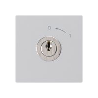 Schwenktaster 0<-1/1L hellgrau kallysto mit Schloss Kaba 8