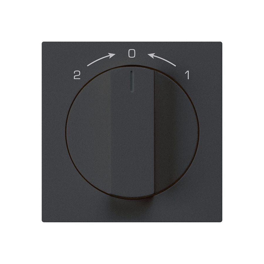 Schwenktaster 1->0<-2 schwarz kallysto mit Drehgriff