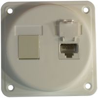 Dose Kat.6 IK 2f.1RJ45/u weiss