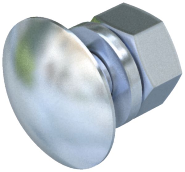 Flachrundschraube Bettermann mit Scheibe und Mutter M8×35, St, F