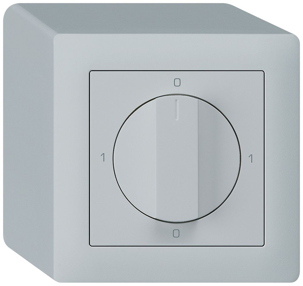 AP-Drehschalter kallysto 1/1L hellgrau mit Drehgriff