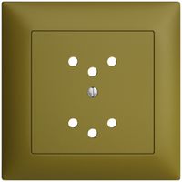 Kit frontale EDIZIOdue olive 88×88mm 2×T12