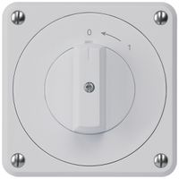 UP-Schwenktaster robusto IP55 grau 1P
