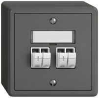 AP-Audiodose EDIZIO.liv SNAPFIX® 2× dgu