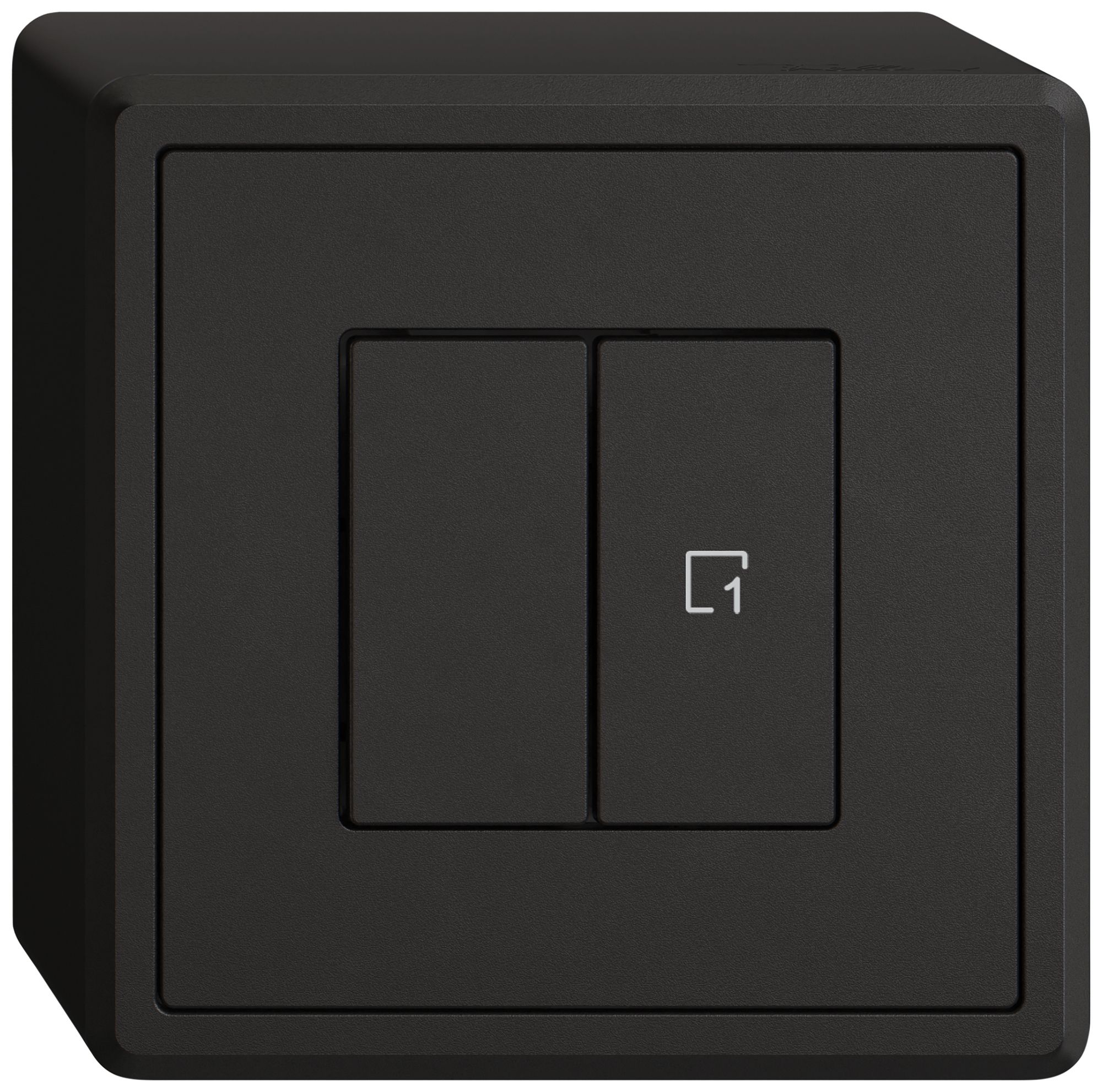 Interrupteur à poussoir AP EDIZIO.liv Wiser SNAPFIX® 1 scène 2 touches WLAN no