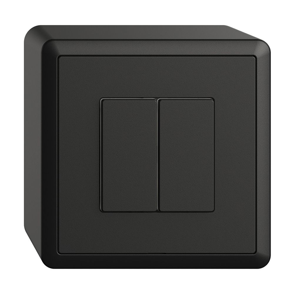 Station secondaire AP 2K/2T pour interrupteur Edue Wiser noir