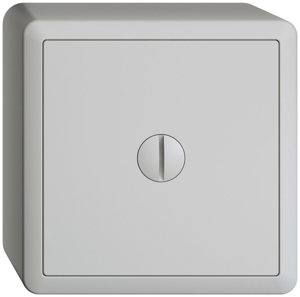 AP-Zusatzrelais BWE EDIZIOdue hellgrau