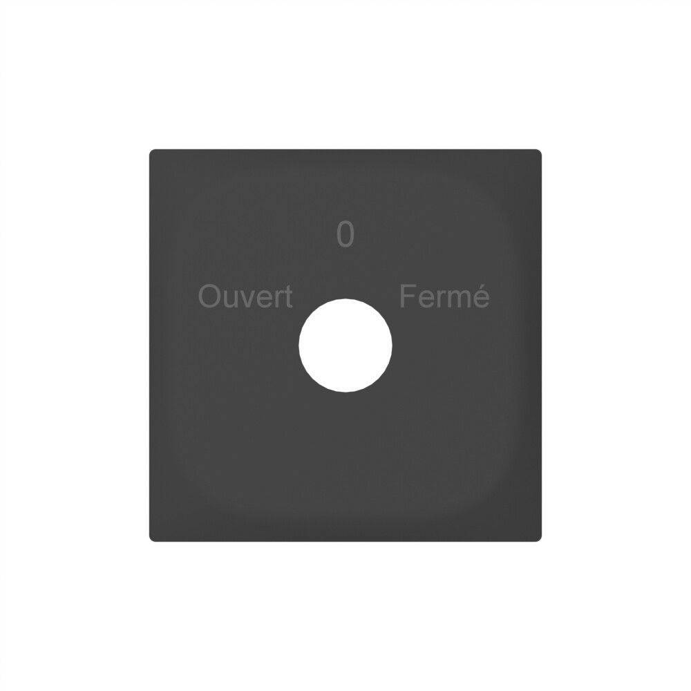 Plaque frontale SIDUS avec gravure anthracite