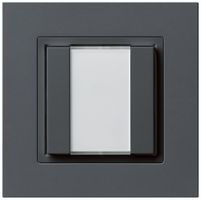AP-Multifunktionstaster kallysto.pro KNX RF 2-fach anthrazit
