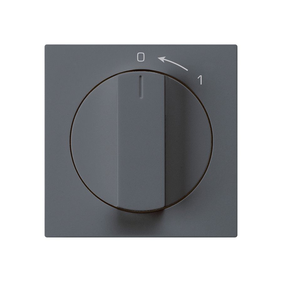 Schwenktaster 0<-1/2L anthrazit kallysto mit Drehgriff