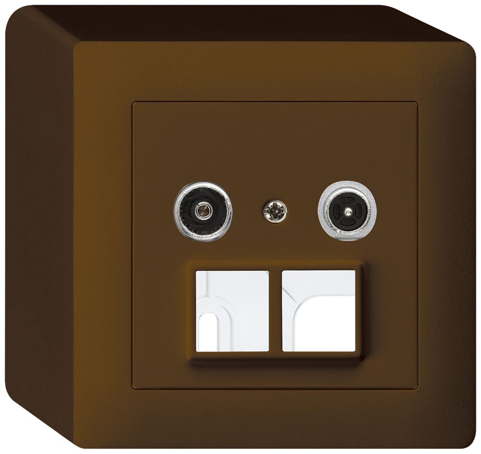 AP-Multimediadose kallysto R/TV 19dB 2GHz braun