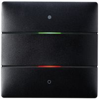 UP-Tastsensor Theben LUXORliving iON2, 2-fach, mit Temperatursensor, schwarz