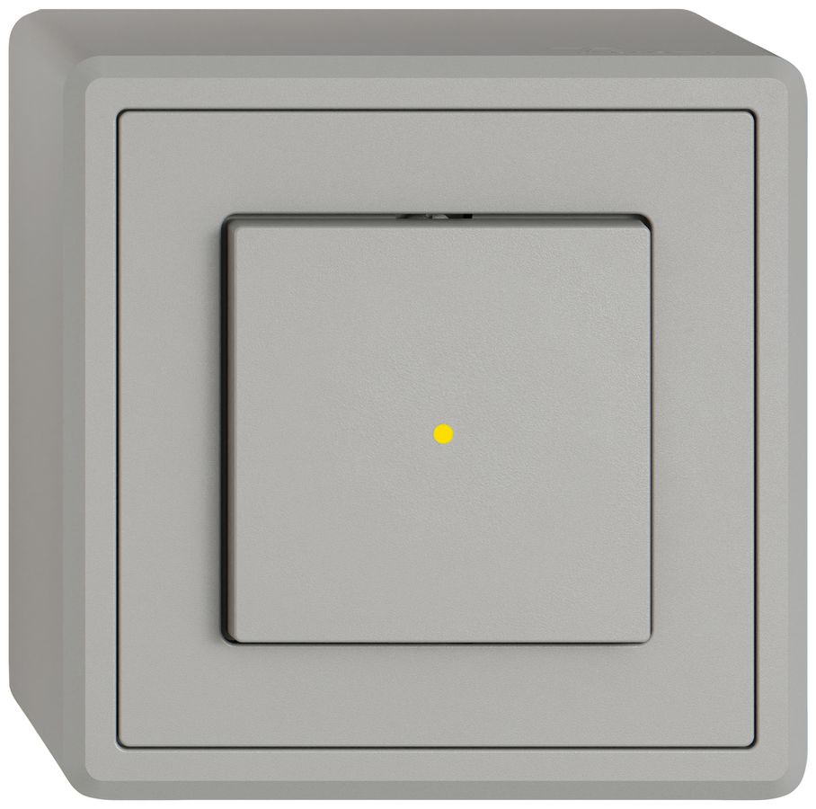 Interruttore a pulsante lumin.AP EDIZIO.liv SNAPFIX® 6/1L lent.front.KS gi grc