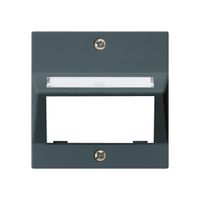 Frontplatte kallysto für Multimedia-Modul Schrägauslass Duroplast anthrazit