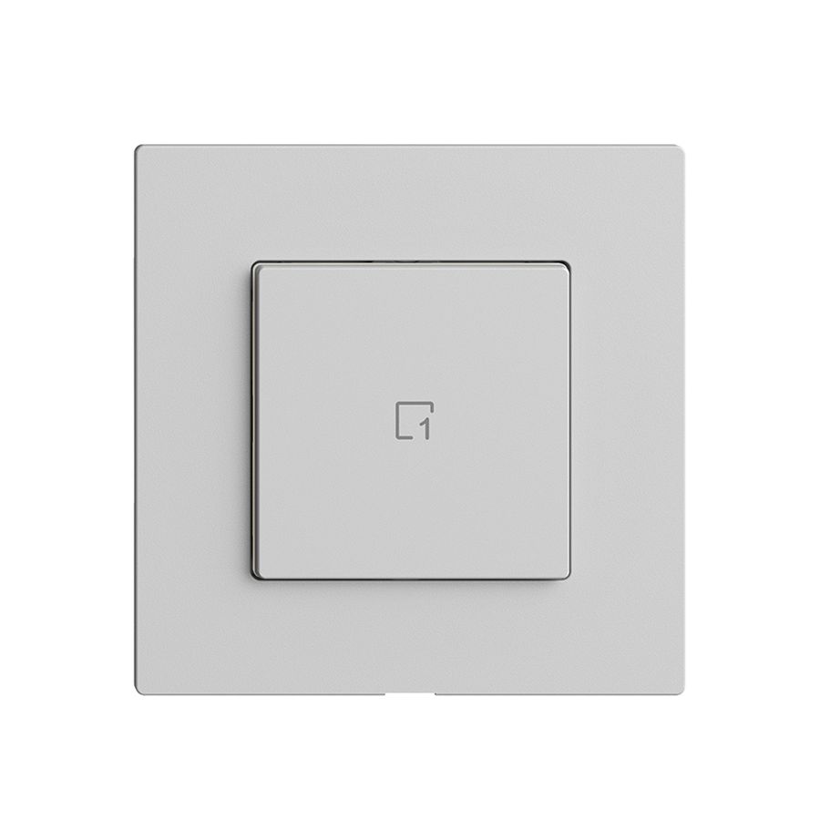 Abdeckset zu Szenentaster 1 Szene/1T Edue Wiser hellgrau