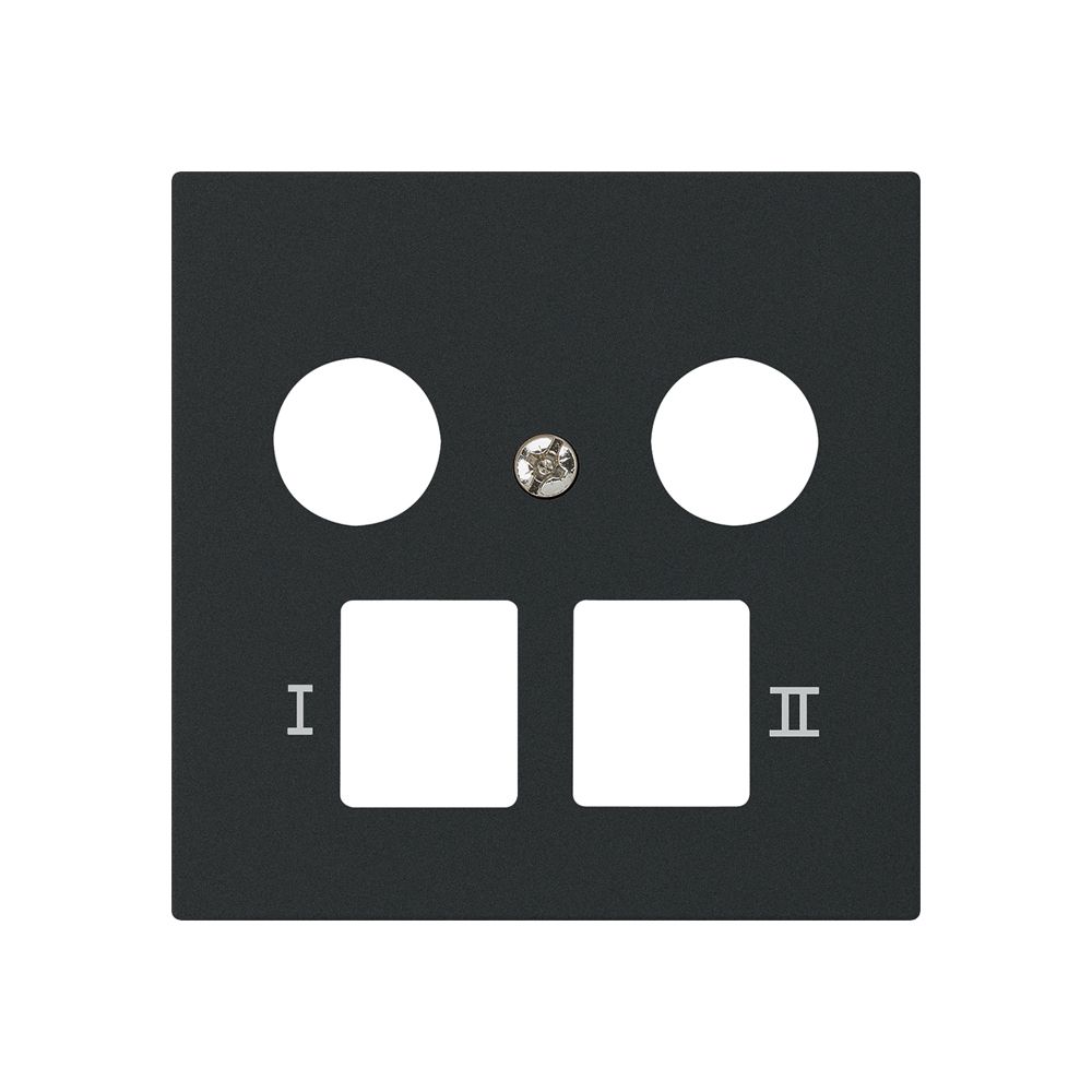 Frontplatte kallysto zu R&M HWS schwarz 2-Loch Multimedia