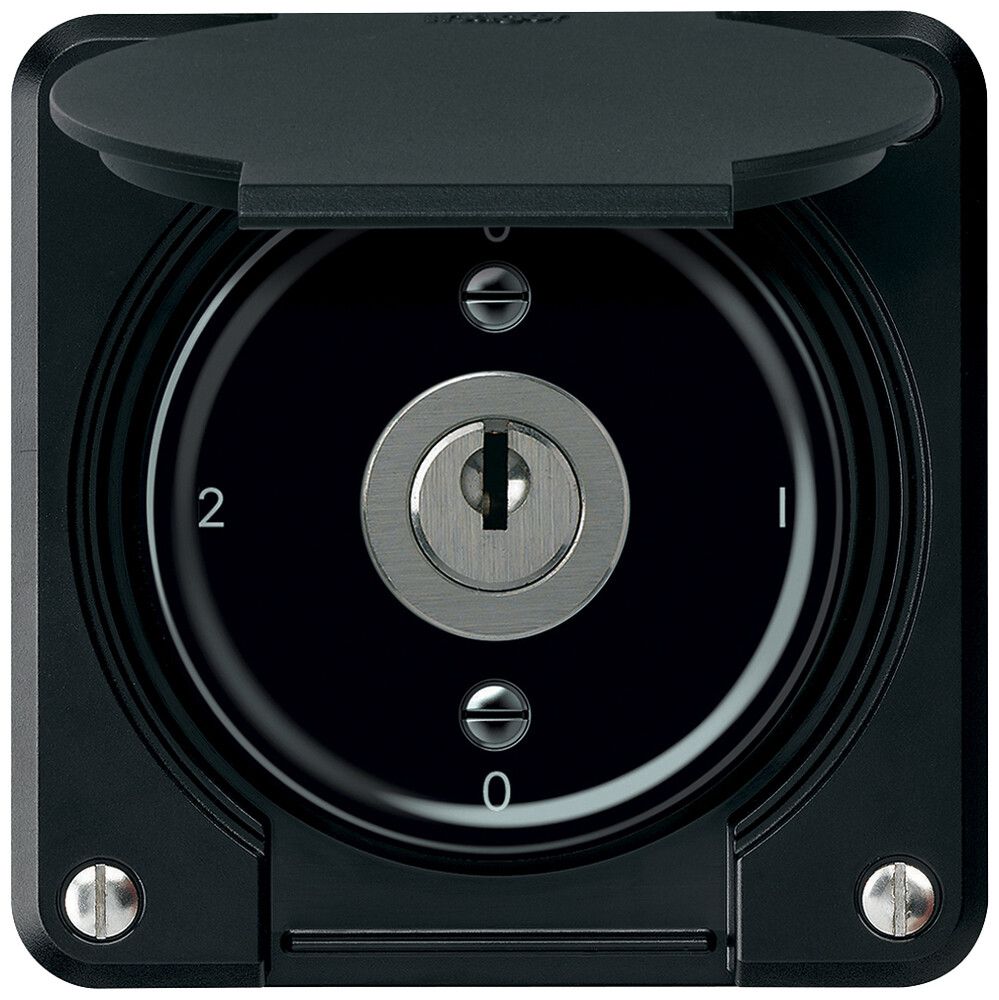 UP-Schlüsselschalter robusto Umschalter 16A 250V 86×86mm schwarz