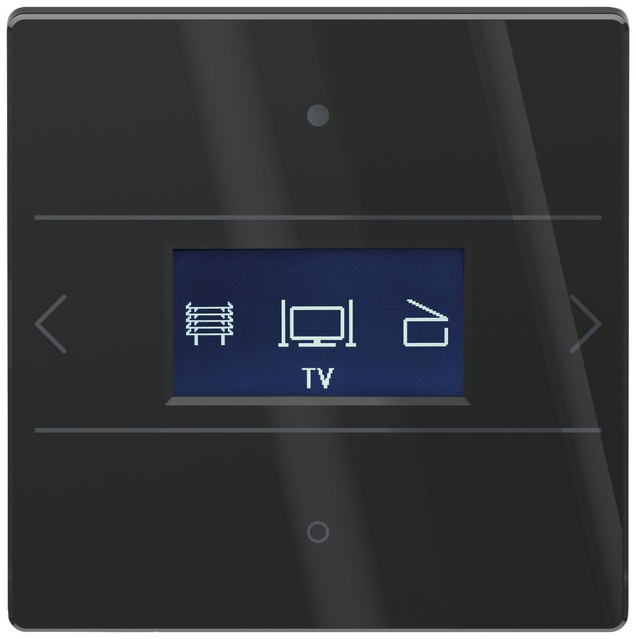 Bediengerät Theben iON 108 KNX G Mit Raumthermostat schwarz