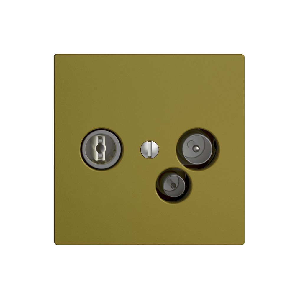 Datendose TV-R DD11 5…65MHz EDIZIOdue olive