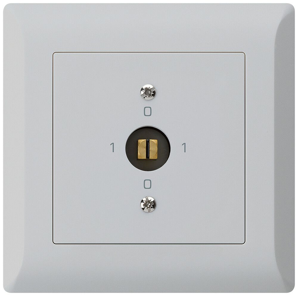 UP-Steckschlüsselschalter kallysto.line 0/1L hellgrau