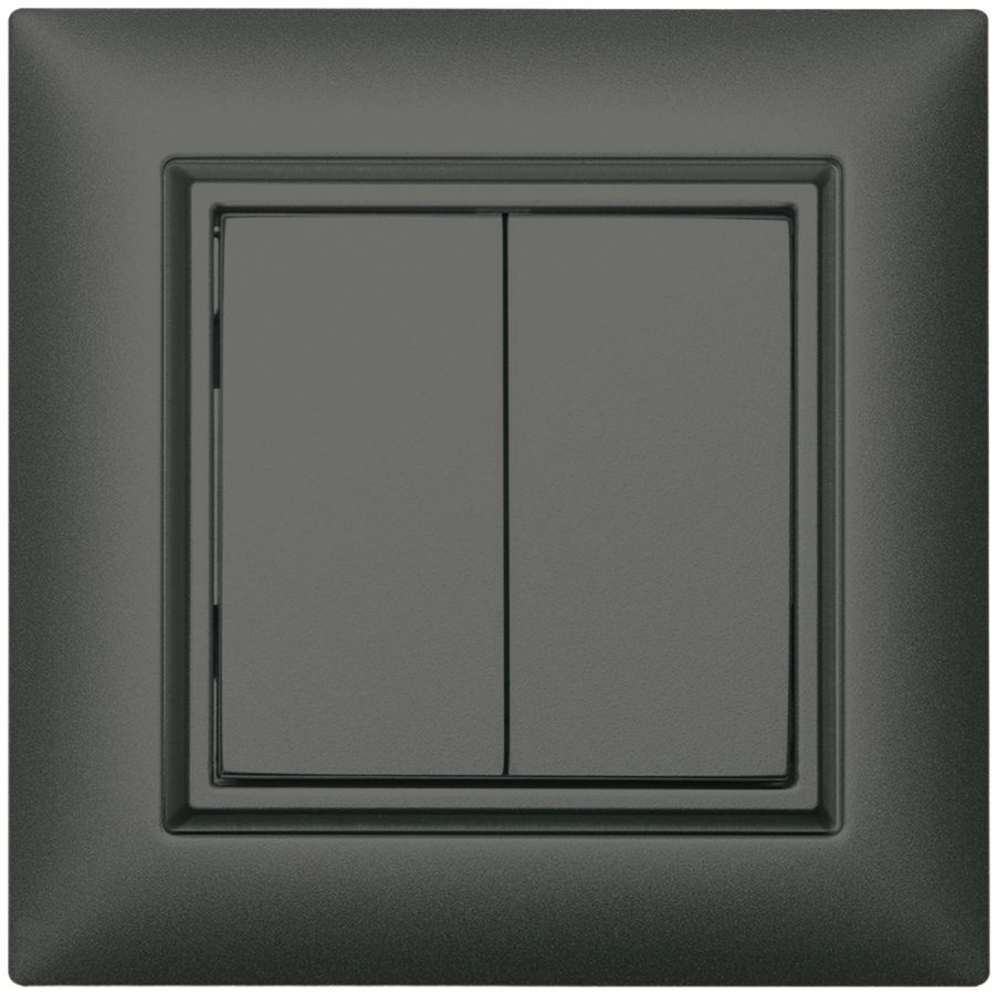 AP-RF-Taster ALADIN EnOcean EDIZIOdue, 2-fach, dunkelgrau