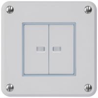 Interruttore INC robusto IP55 schema 3/contatto a pulsante 2×illuminato grigio