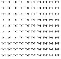 Klebeschild T+T 6×6mm Blatt mit 100 Schildchen